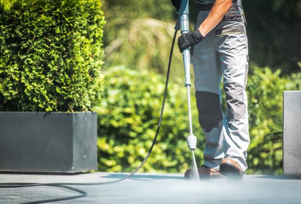 Best Window and Screen Pressure Cleaning in Holloman Af, NM